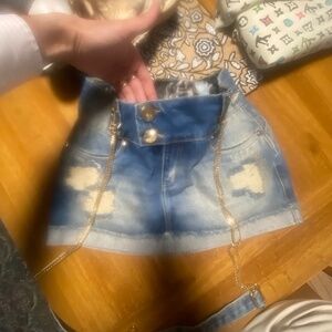 Brazilian pit bull Skirt